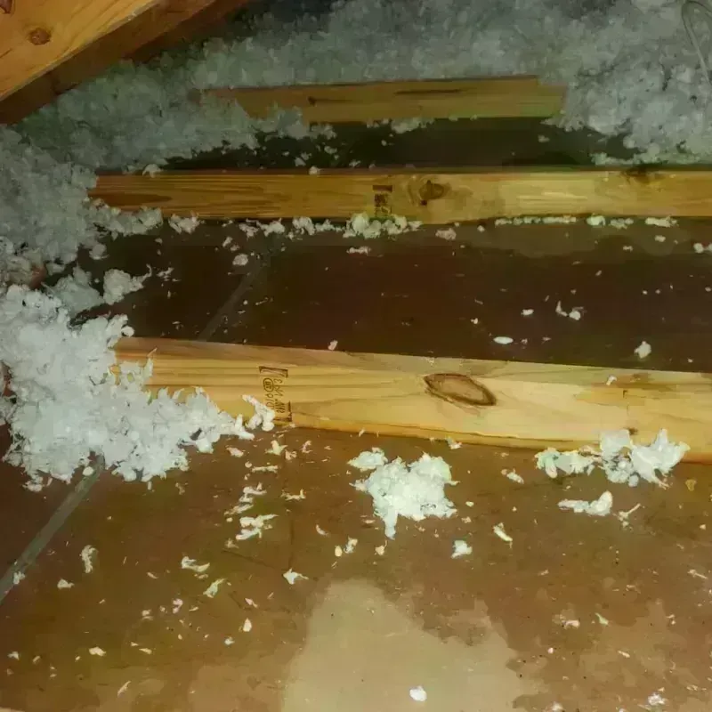 Attic Water Damage in Butler County, OH