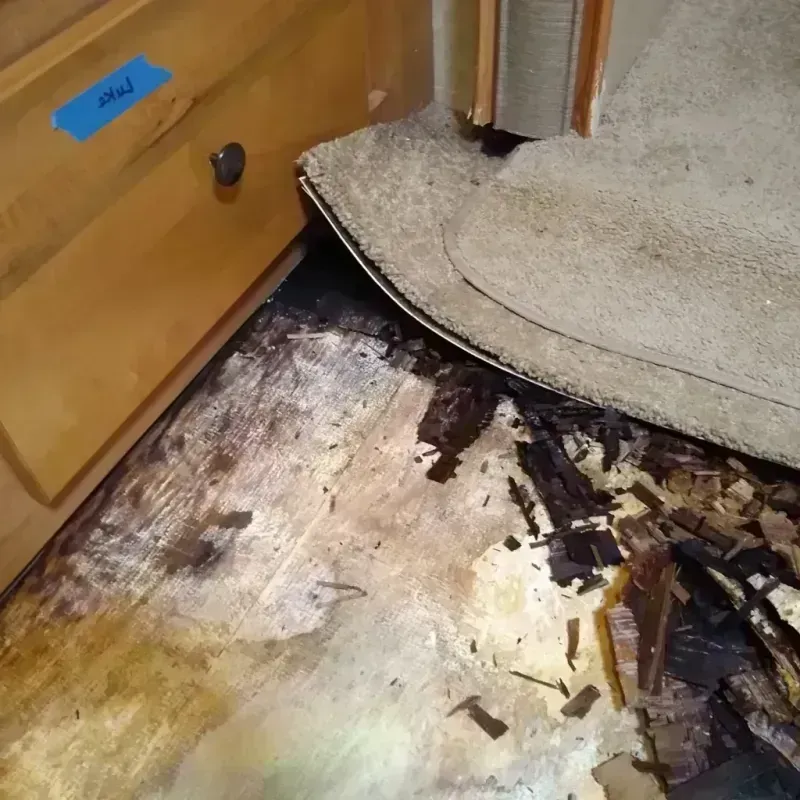 Best Wood Floor Water Damage Service in Butler County, OH